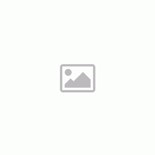 Holló ágszén 6 db-os